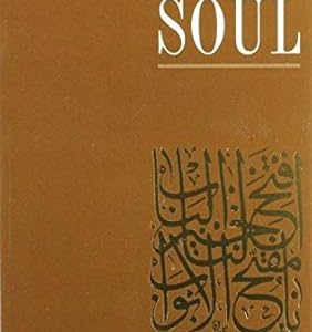 The Degrees Of The Soul